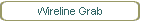 Wireline Grab